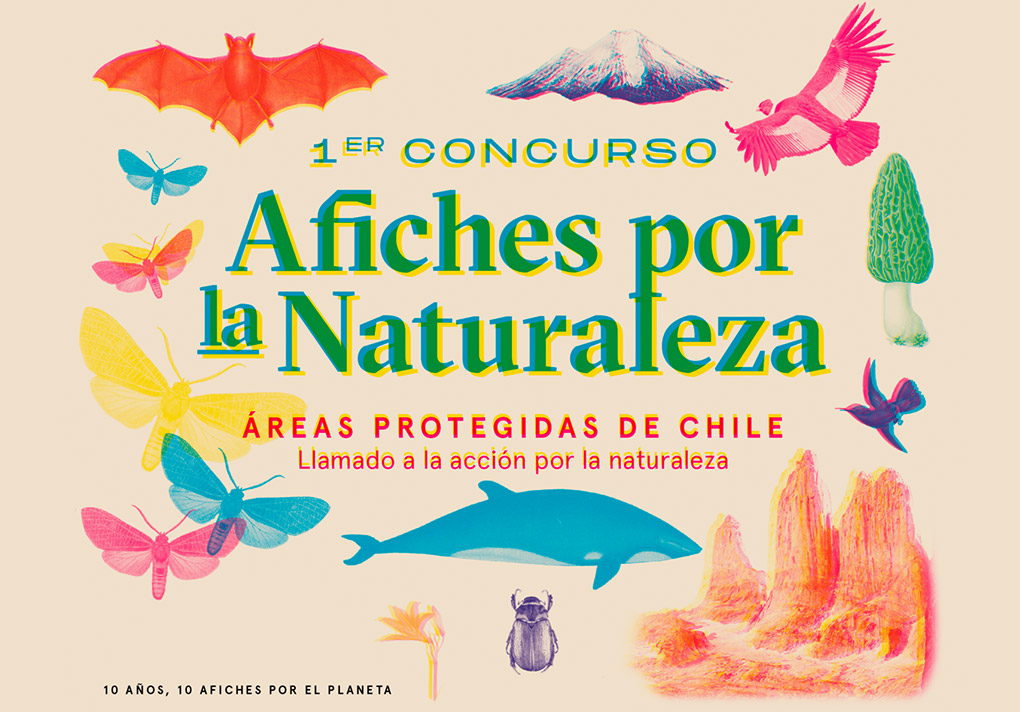 jorgellanten's tweet photo. Primer Concurso de Afiches de Ladera Sur https://t.co/8oERaowuDU https://t.co/LtqpoLTOQ2