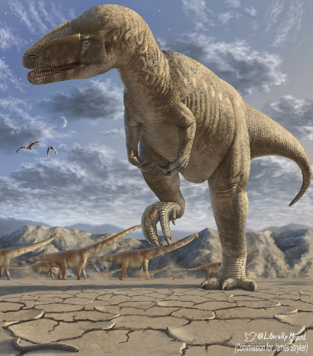 Big Al! 

a specimen of Allosaurus jimmadseni that suffered several gnarly fractures and infections before death; that, unable to hunt, healed over months while it fed from scavenging

a reminder of how easy most of us have it in comparison

(paleoart commission!)