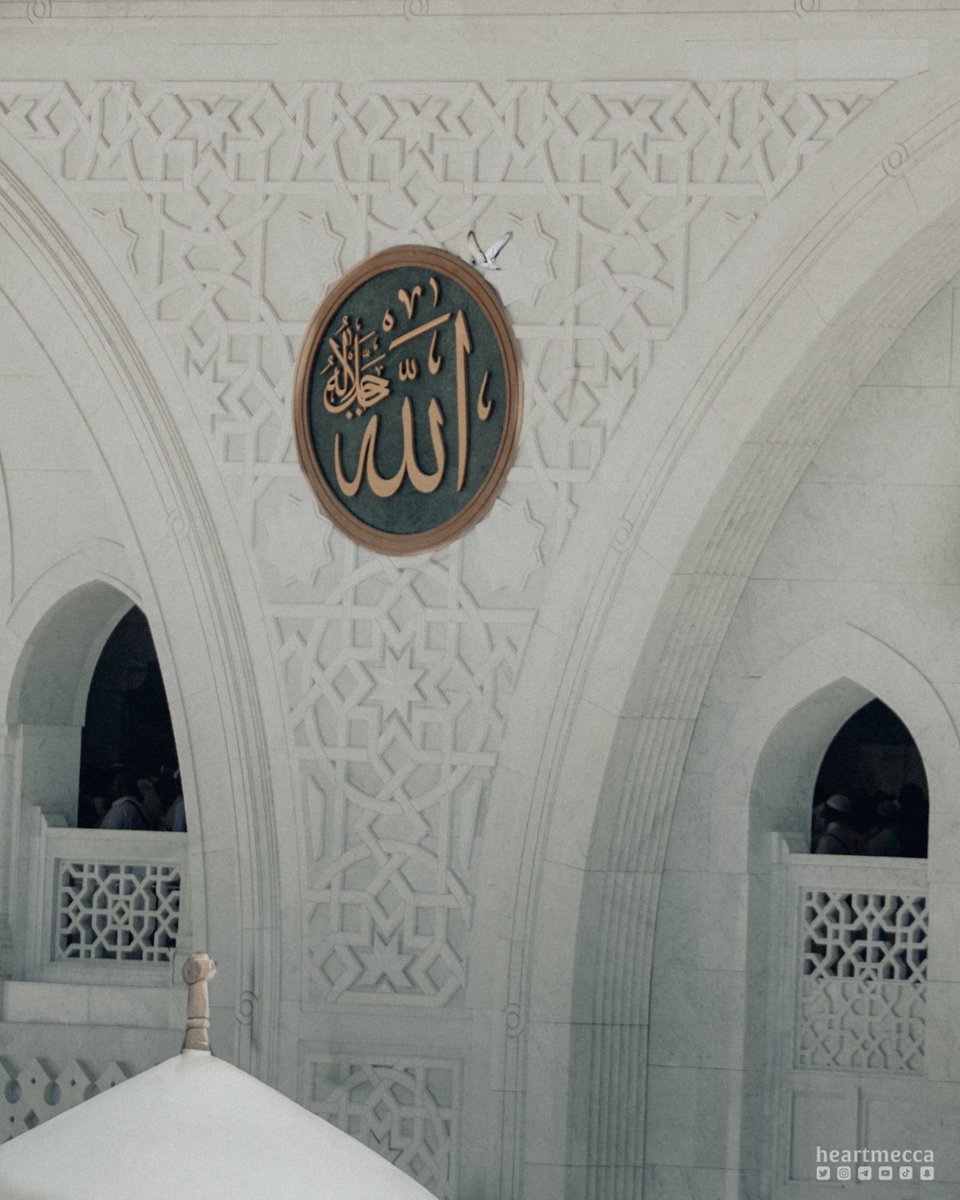 heartmecca's tweet photo. هنيئًا حمامُ البلادِ مكانًا ..
تسيرُ إليه بلا موعِدا 

هنيئًا مكوثًا في #مكة دومًا ..
بلا إصطيادٍ ولا مُؤسِرا 🕊🤍 https://t.co/5PJKvCywpY