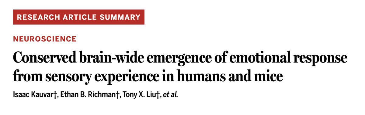 Tony X. Liu (@liutony66) on Twitter photo 💥Emotions are central to the human experience 😠😳😃☺️😔😕😮🙂
Our Human Neural Circuitry team just took a step towards understanding how they arise–using brain-wide electrical ⚡recordings in humans and mice <a href="/ScienceMagazine/">Science Magazine</a>
Read on for more… 1/n 💥Emotions are central to the human experience 😠😳😃☺️😔😕😮🙂
Our Human Neural Circuitry team just took a step towards understanding how they arise–using brain-wide electrical ⚡recordings in humans and mice <a href="/ScienceMagazine/">Science Magazine</a>
Read on for more… 1/n