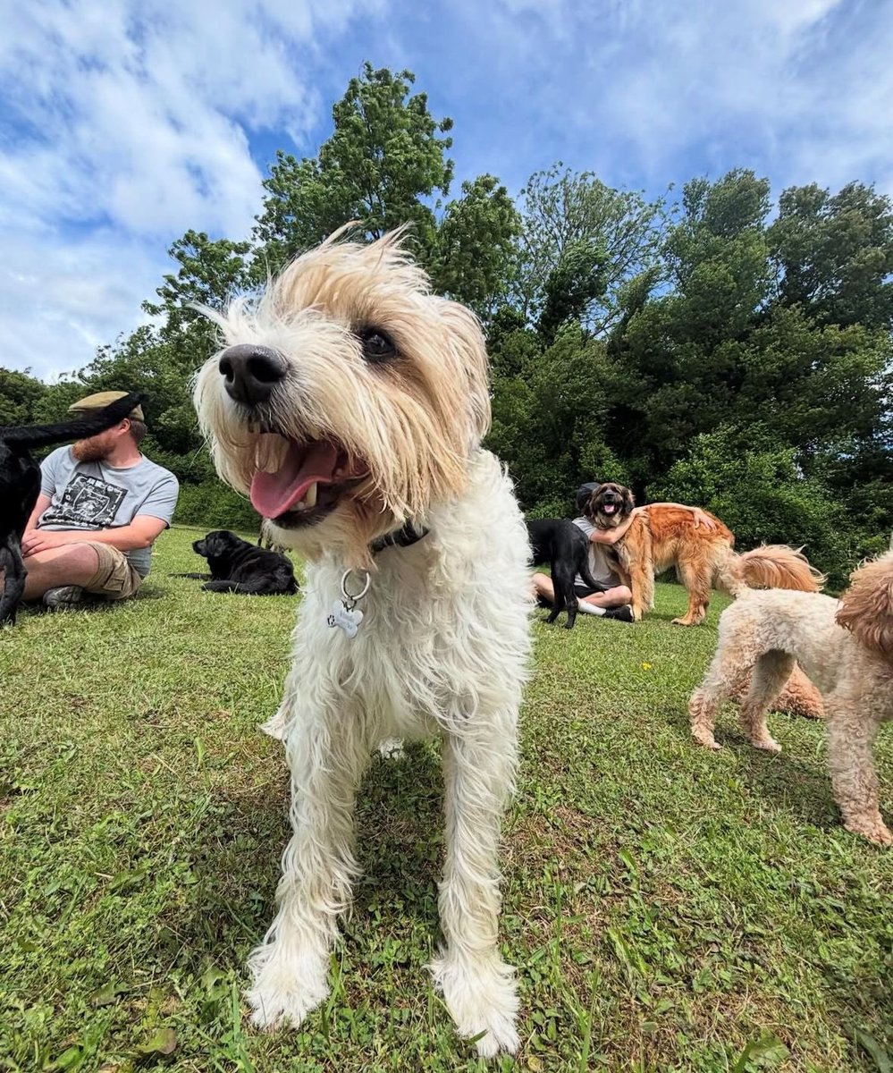 James Dreyfus tweet media