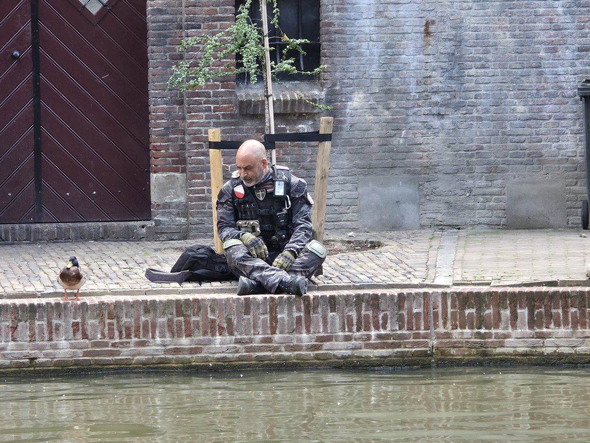 Dave Nota tweet media