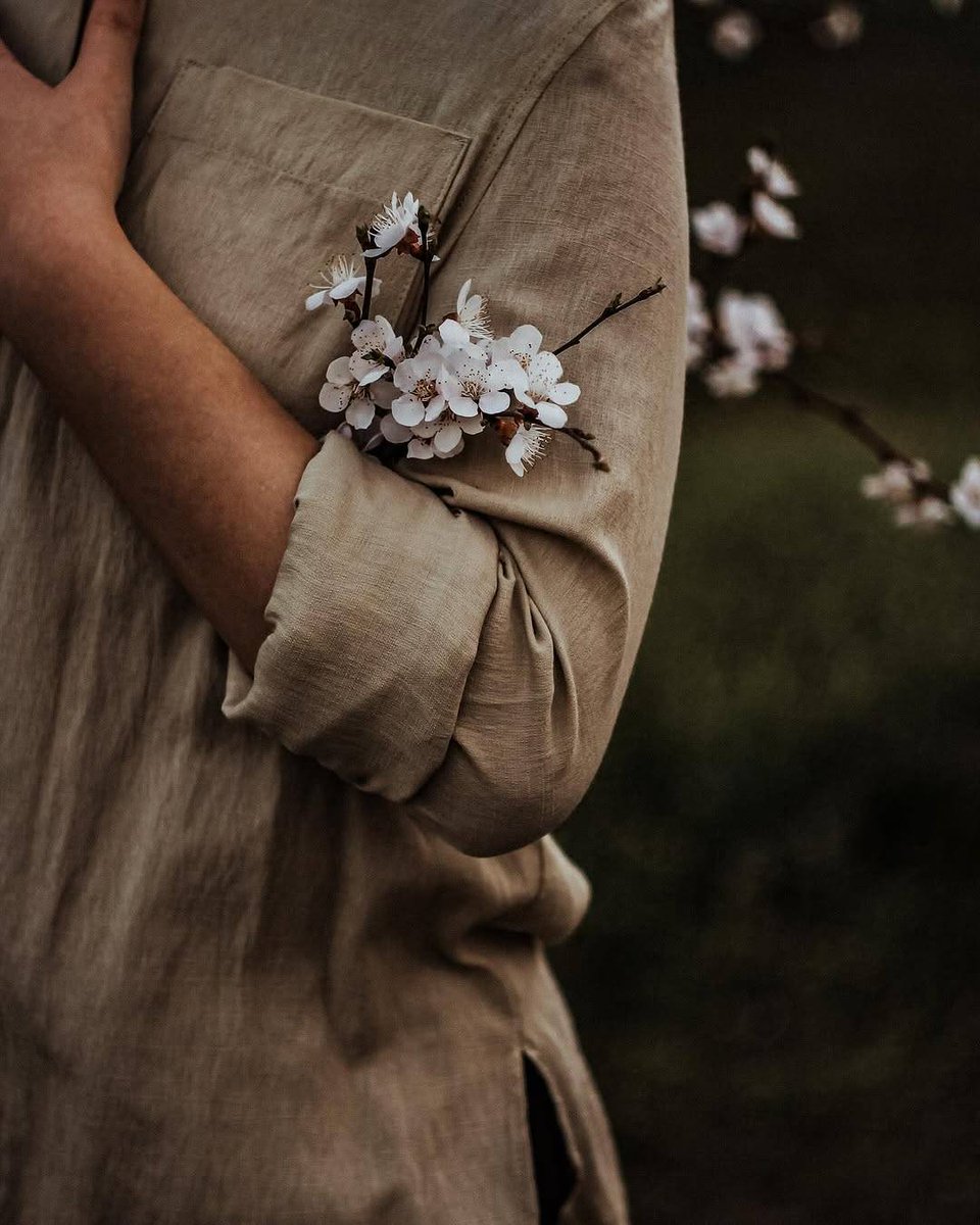 ¡Que suerte sus alas
todavía intactas !○••