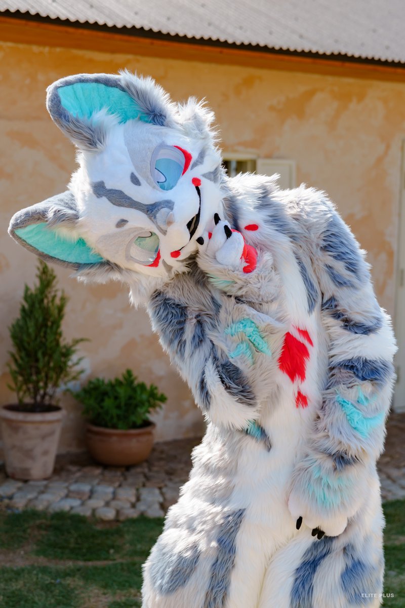 어라? 저 이거 어디서 봤어요! 
정답~! 미어캣 ! 

📷@ ELPL_Fur