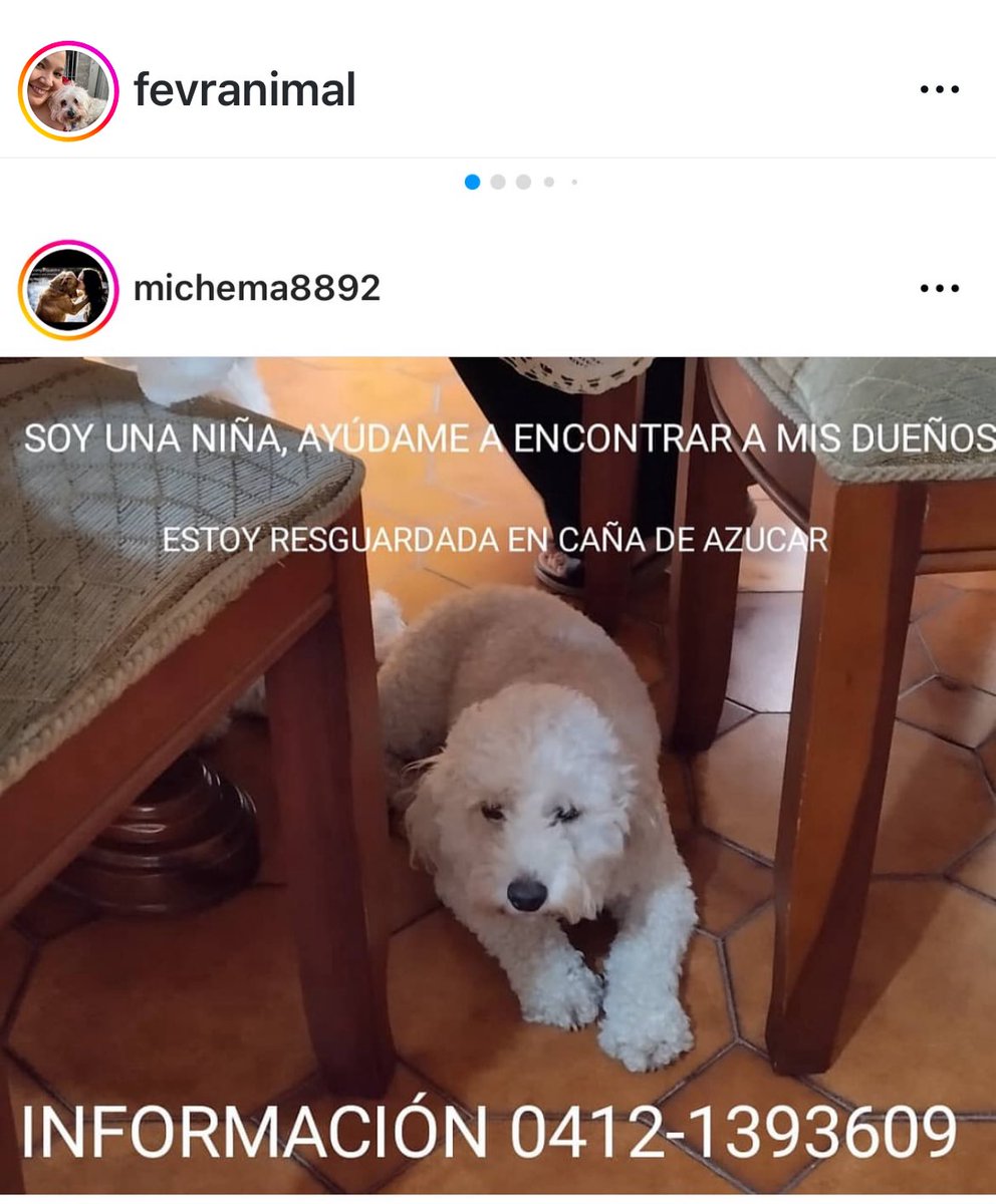 Rescata (@carmenzr04) on Twitter photo 