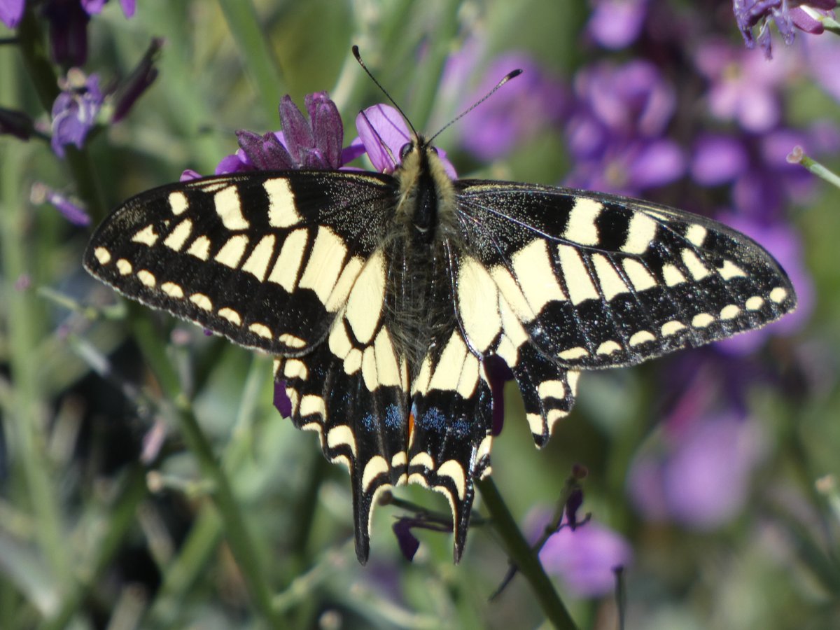 James Timms tweet media