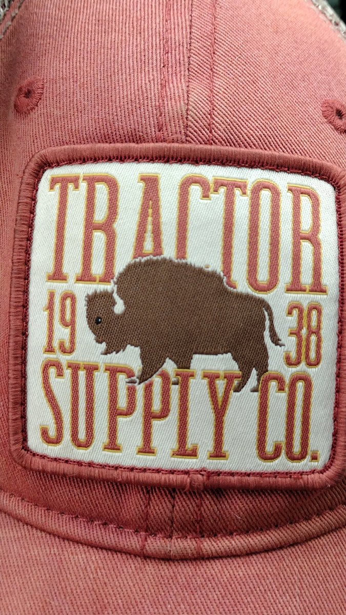I love the little bison on my daily hat, look at the silly guy