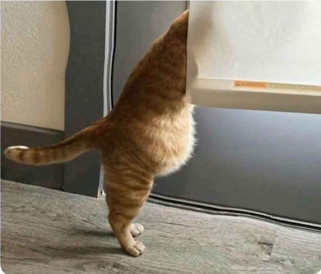 Io che vado a caccia 1 ora dopo aver cenato