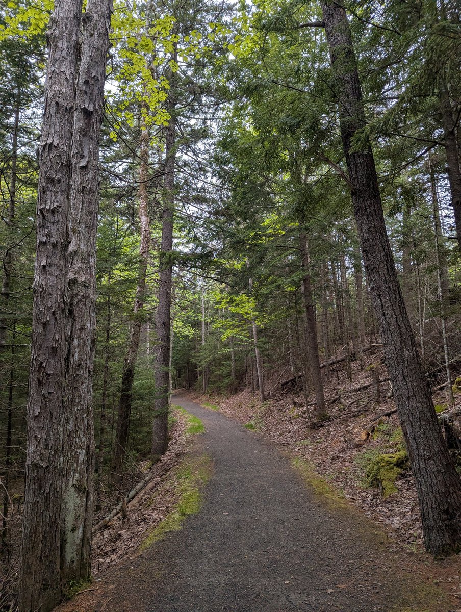 AryaBacon's tweet photo. Took my own Serene Retreat. I'll be back to town tomorrow to get some Gmax raid in! https://t.co/AfWM55vLyn