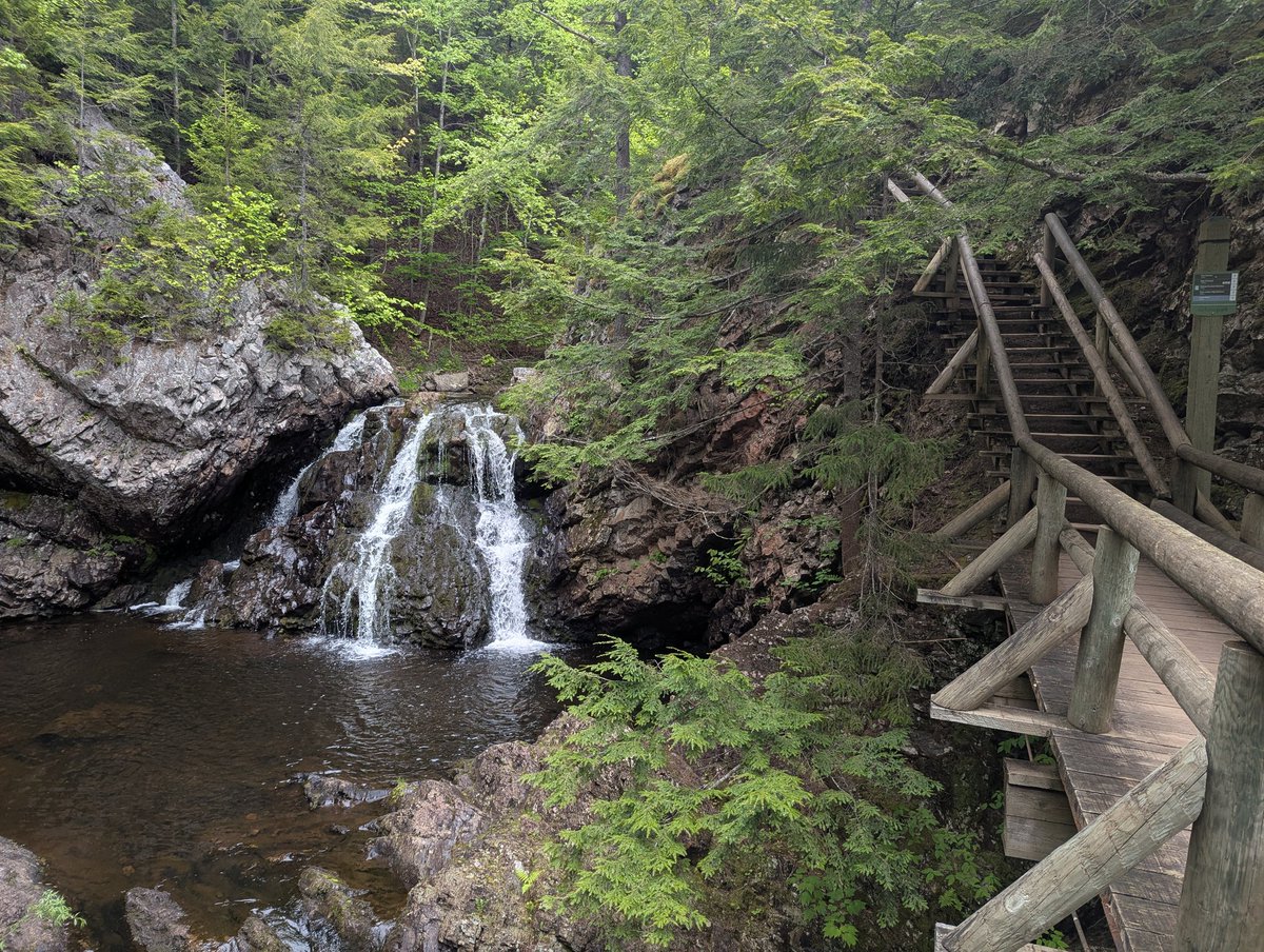 AryaBacon's tweet photo. Took my own Serene Retreat. I'll be back to town tomorrow to get some Gmax raid in! https://t.co/AfWM55vLyn