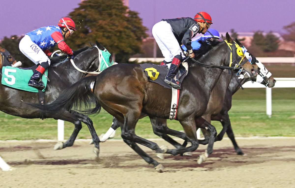 The <a href="/HollywoodPenn/">Hollywood Casino at Penn National Race Course</a> card has 7 races, all on the main track, including a $50,000 Allowance event (race 2) &amp; a $51,000 Maiden Special Weight (race 4). Both are at 6 furlongs. 1st post, 5 pm.

4 turf stakes originally set for tonight, topped by the $400,000 Grade 3 Penn Mile, will