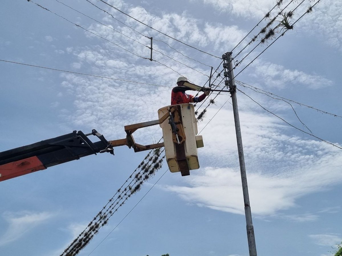 #EnVictoria (@rrpieru) on Twitter photo Beneficiando a familias de la zona rural donde la Alcaldía de Los Guayos instaló 57 luminarias de alta eficiencia en comunidad Samán Mocho
#MásTerritorioMásPueblo
#CHCh
<a href="/NicolasMaduro/">Nicolás Maduro</a>
<a href="/rafaellacava10/">Rafael Lacava</a>
<a href="/delcyrodriguezv/">Delcy Rodríguez</a> <a href="/HugoChavezCmdo/">Comando Hugo Chávez</a> Beneficiando a familias de la zona rural donde la Alcaldía de Los Guayos instaló 57 luminarias de alta eficiencia en comunidad Samán Mocho
#MásTerritorioMásPueblo
#CHCh
<a href="/NicolasMaduro/">Nicolás Maduro</a>
<a href="/rafaellacava10/">Rafael Lacava</a>
<a href="/delcyrodriguezv/">Delcy Rodríguez</a> <a href="/HugoChavezCmdo/">Comando Hugo Chávez</a>