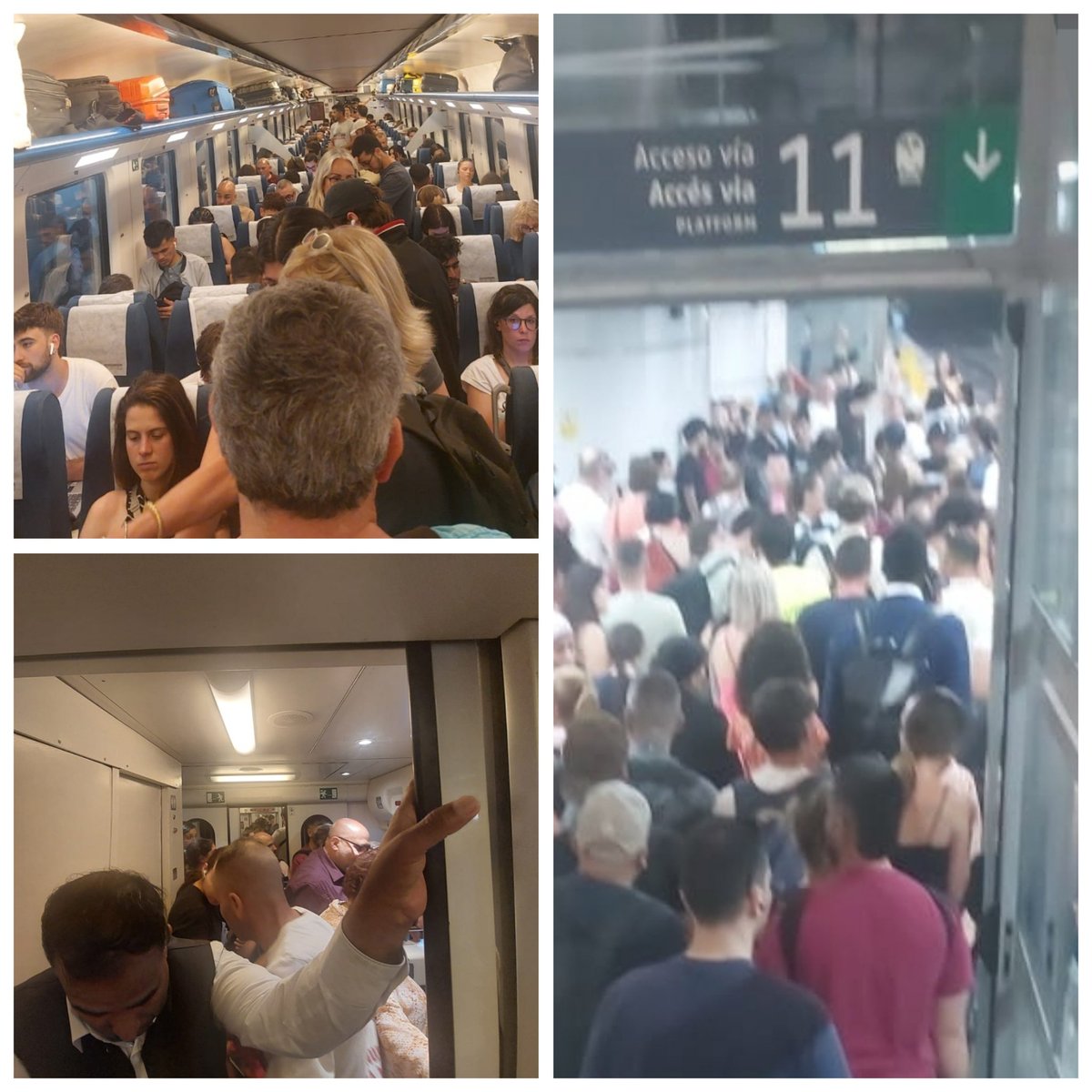 Anna G. (@gomezanna27076) on Twitter photo Ens van prometre un “tracte exquisit”.
Doncs mira les fotos, exquisit? O exquisitament fotuts.
Volem inversions reals, trens dignes i un transport públic que posi la gent al centre.
La dignitat, quan se la trepitja, sempre troba el camí per fer-se escoltar.
<a href="/dignitatavies/">Dignitat a les vies</a> Ens van prometre un “tracte exquisit”.
Doncs mira les fotos, exquisit? O exquisitament fotuts.
Volem inversions reals, trens dignes i un transport públic que posi la gent al centre.
La dignitat, quan se la trepitja, sempre troba el camí per fer-se escoltar.
<a href="/dignitatavies/">Dignitat a les vies</a>