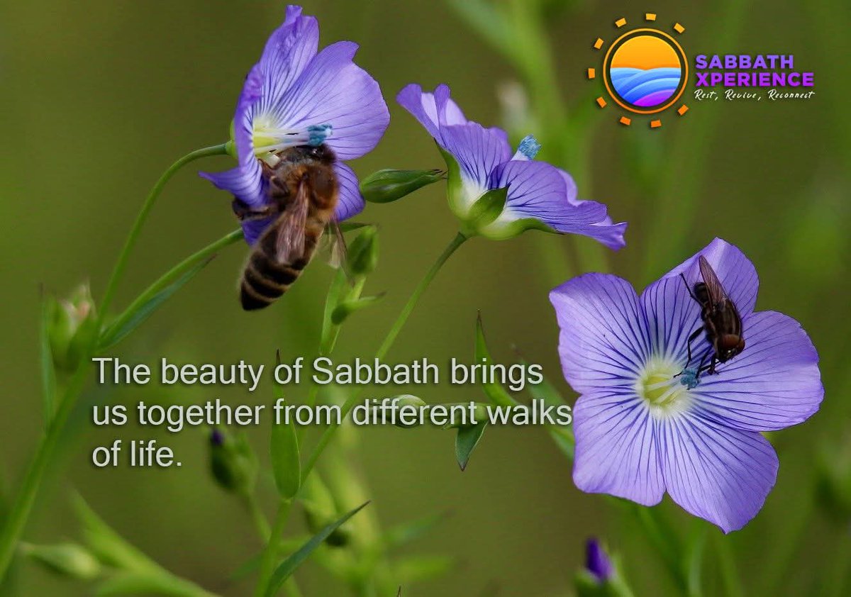 Happy Sabbath 😊