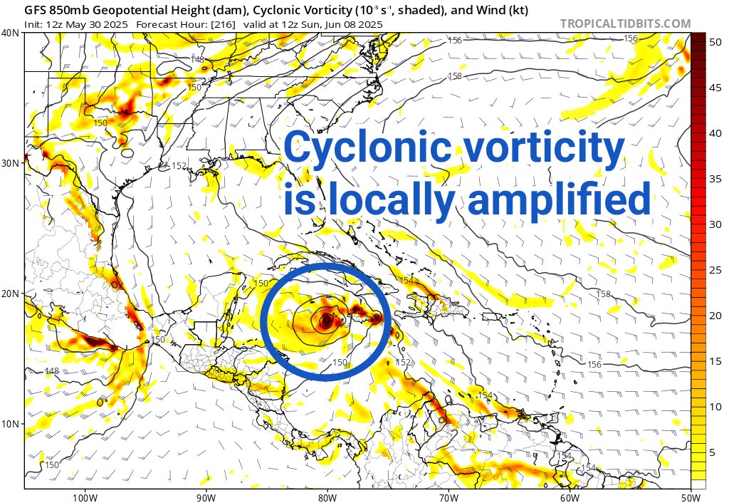 TropicalTidbits's tweet photo. The GFS model is predicting sudden hurricane development in the western Caribbean in 8-10 days.

I'll take the under. As my long-time followers know, this model is infamous for over-amplifying tropical thunderstorm complexes. You can see the massive amount of 24-hour rainfall dropped in one spot, evidence of that convection. The associated vertical mass flux generates cyclonic vorticity that quickly causes a compact, strong circulation to emerge in a high shear (unfavorable) environment. This look is typically implausible.

The quoted tweet from 3 days ago lays out why there may be opportunities for tropical storm formation as we head into the 2nd and 3rd week of June. But you can usually safely bet that the GFS will be too eager and early, especially when it's a 10-day forecast. 

Don't get wrapped up in sensational posts with scary graphics depicting hurricanes in the Gulf that some social media accounts make a living on. We'll certainly be keeping tabs on this region in June, though, and if a credible threat becomes likely, you'll hear about it here and at @NHC_Atlantic.