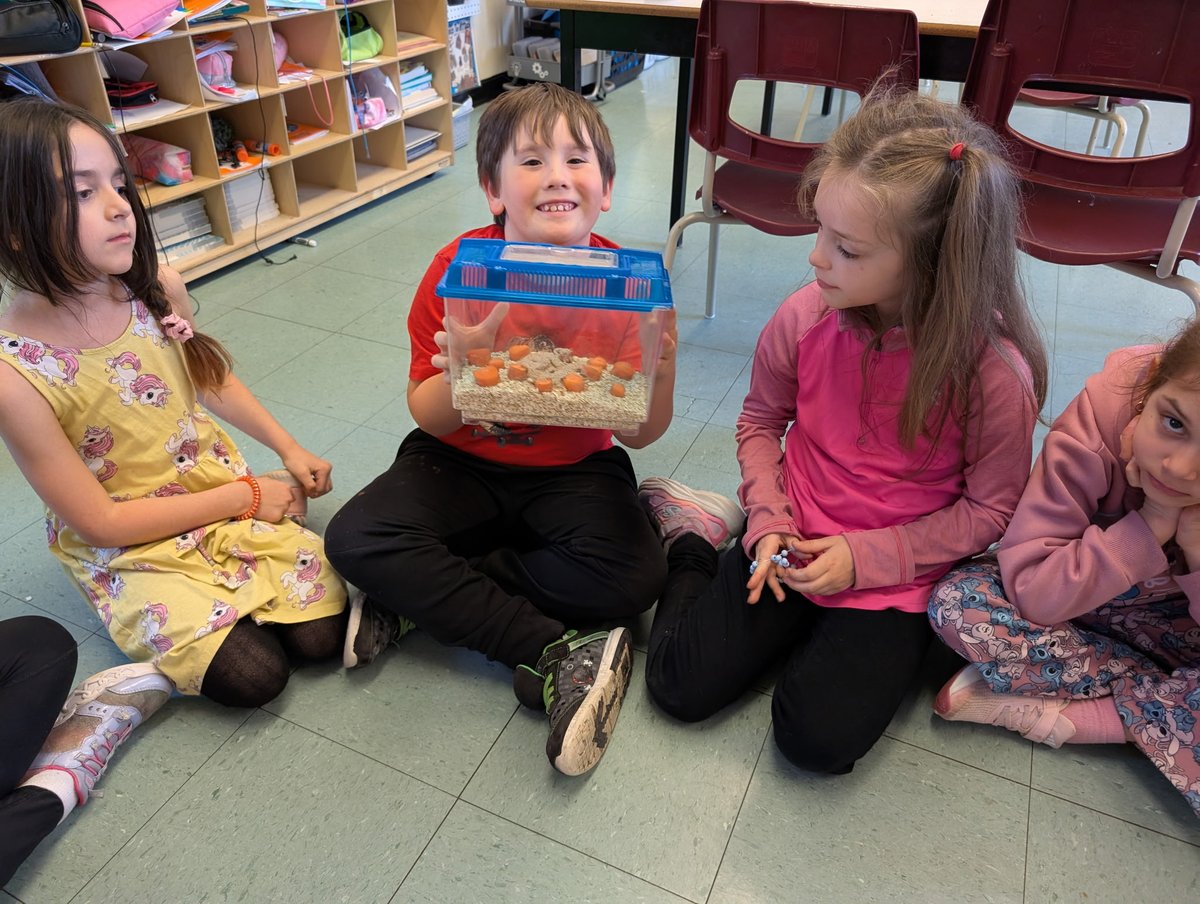 So excited for our class pets! Mealworms! 😊
<a href="/MorrisAcademy1/">Morris Academy</a>