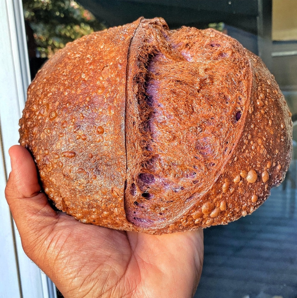 Rize Up Bakery tweet media