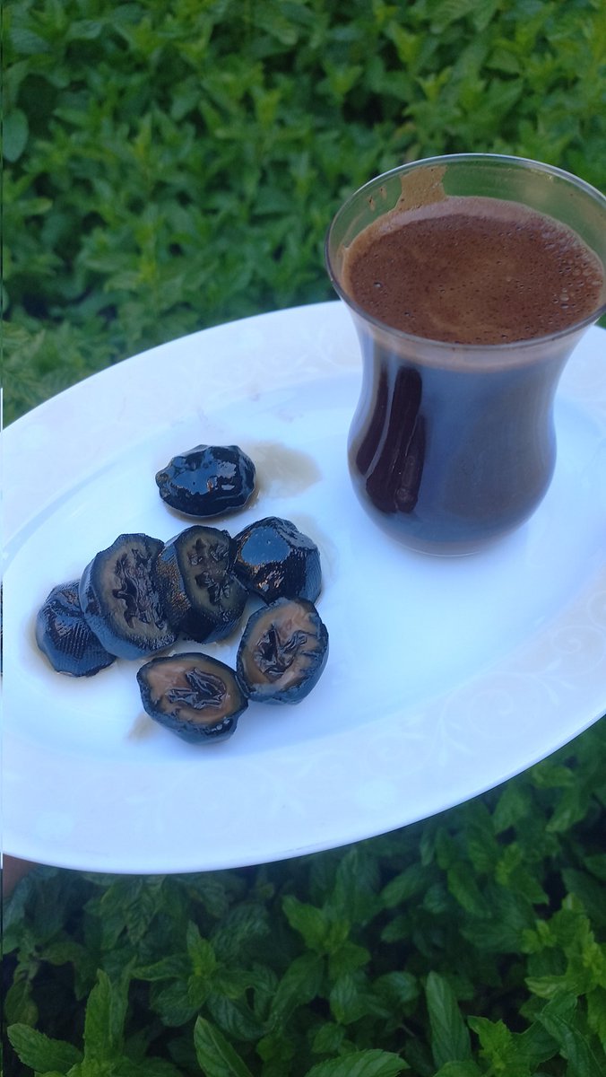 Kahveyi de ceviz reçeli/tatlısını da güzel yaparım 💜
Bayram da misafirlerinize farklı bi tat #HATAYIN coğrafi işaretli Ham ceviz reçelini ikram edin..
Kahvelerinize çaylarınıza eşlik etsin..☕️🌻💜😋
Sipariş için ben(dm)