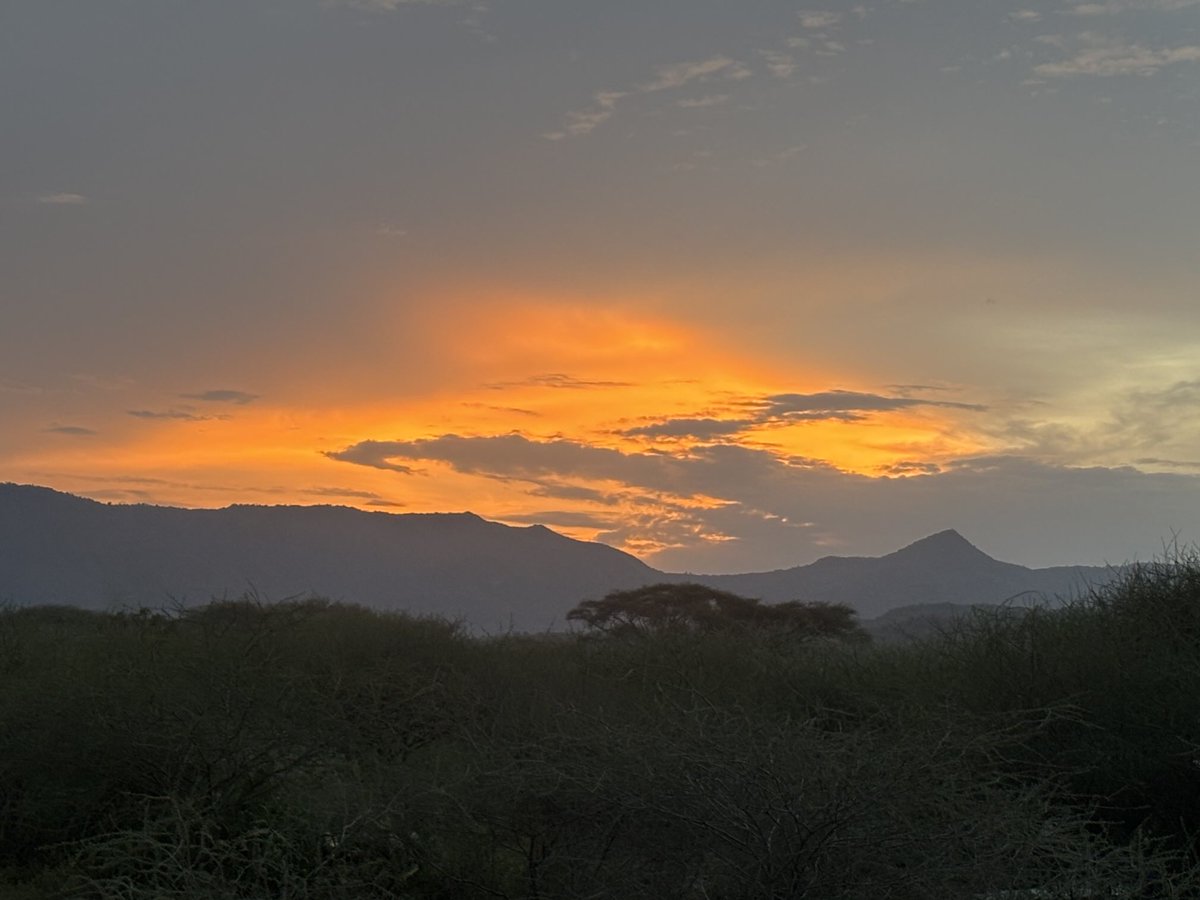Ondrej Simek (@ondrejsimek2) on Twitter photo Sunset the night before the start of #Rhinocharge2025. Raising funds for <a href="/RhinoArk/">Rhino Ark</a> that benefits also from the support of <a href="/EUinKenya/">European Union In Kenya</a> in their conservation efforts. Look out for team 23! <a href="/WWF_Kenya/">WWF-Kenya</a> Sunset the night before the start of #Rhinocharge2025. Raising funds for <a href="/RhinoArk/">Rhino Ark</a> that benefits also from the support of <a href="/EUinKenya/">European Union In Kenya</a> in their conservation efforts. Look out for team 23! <a href="/WWF_Kenya/">WWF-Kenya</a>