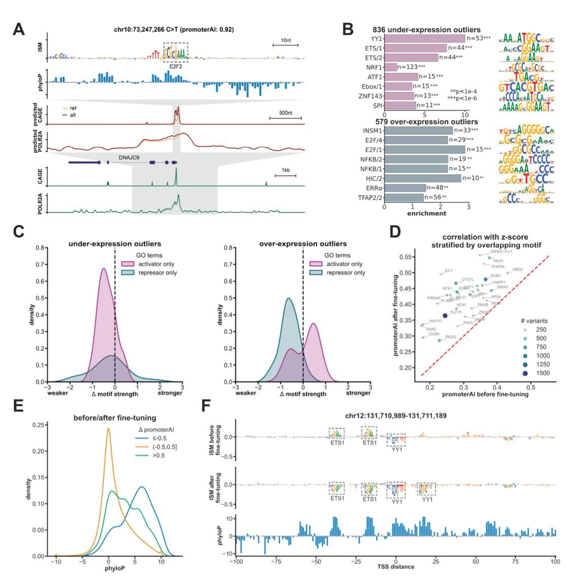 Predicting expression-altering promoter mutations with deep learning science.org/doi/10.1126/sc… 🧬🖥️🧪 github.com/Illumina/Promo…