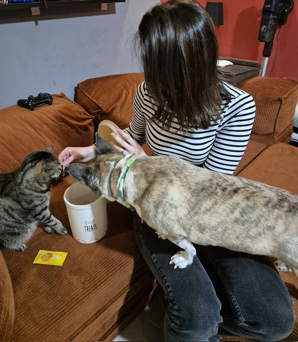 Bir takım tanışmalar yaşandı 🥹🥹🥹 <a href="/goddogii/">Asena</a> çok tatlıymış diyo Maggie 🥲😅😅
