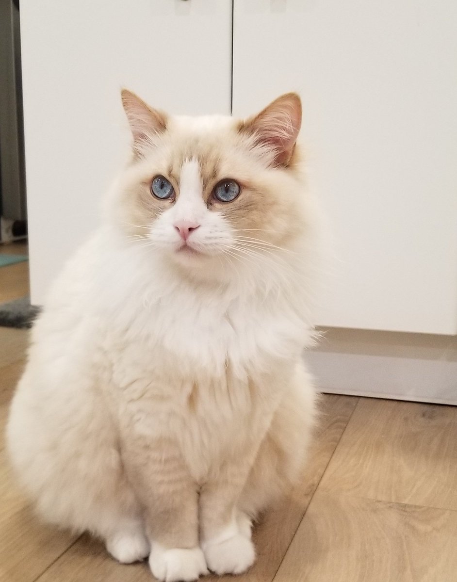 Aşk bu aşk ❤❤❤