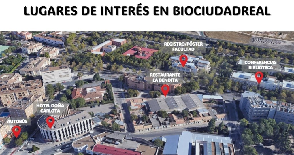 🗓️⚠️ Poster presentations will be split across two sessions:

🔹Posters with odd numbers will be presented on Monday, while even-numbered posters will be presented on Tuesday.

🗺️ A map with the key campus locations is also available here: biociudadreal.es/sedes/