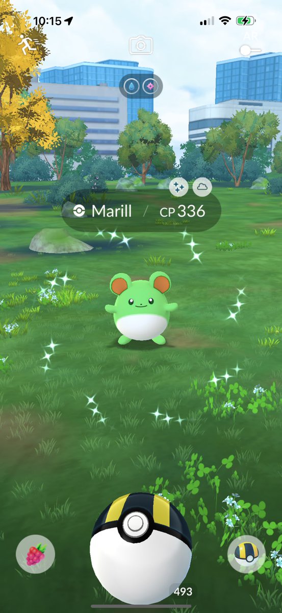 Pikablu or rather Pikagreen blessed us in the Bronx this AM!

#pokemongo #ShinyPokemon