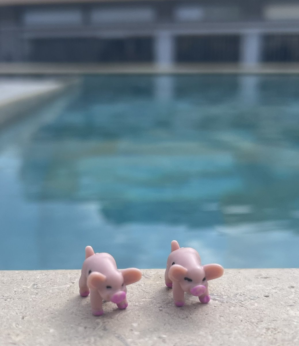 Pigs chilling out by the pool in Crete #passthepigsgame