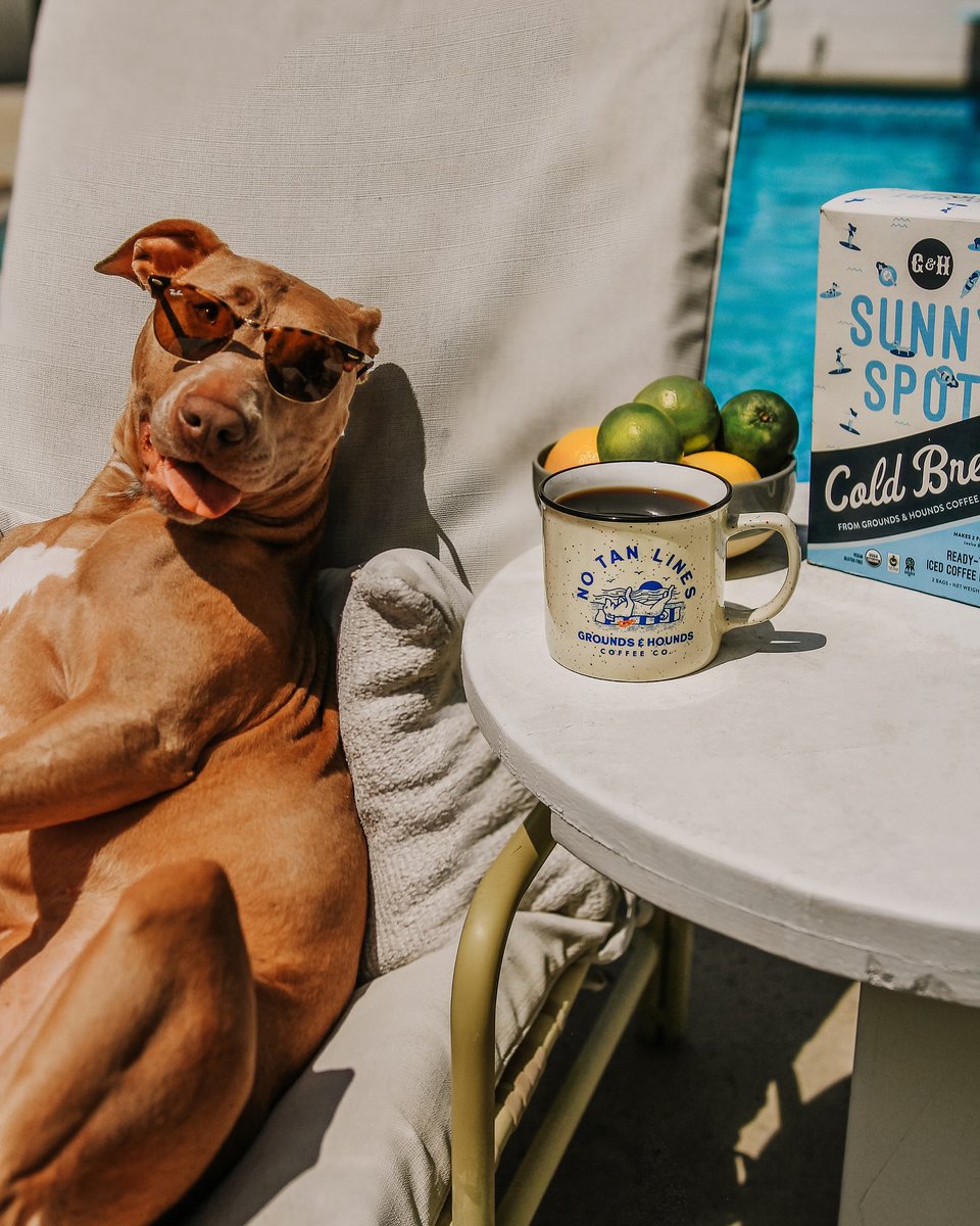 Let's kickstart the weekend vibes! 😎✌️ Soak up the sun with our latest collection ☀️ #sunnyspot #newarrivals