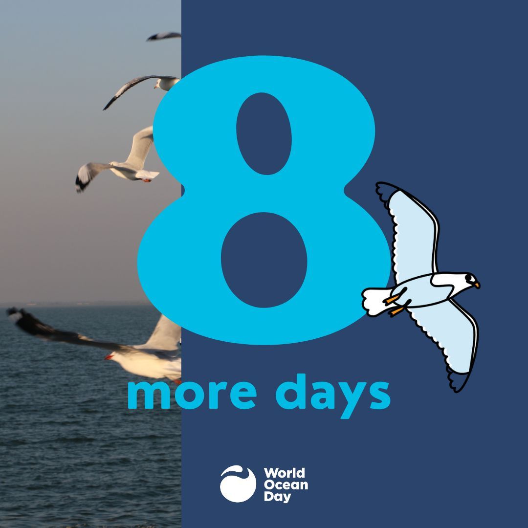 Have you posted your event on the World Ocean Day map yet? 🌐📍 Let the world know how you’re taking action for our ocean! Add your event now at WorldOceanDay.org.