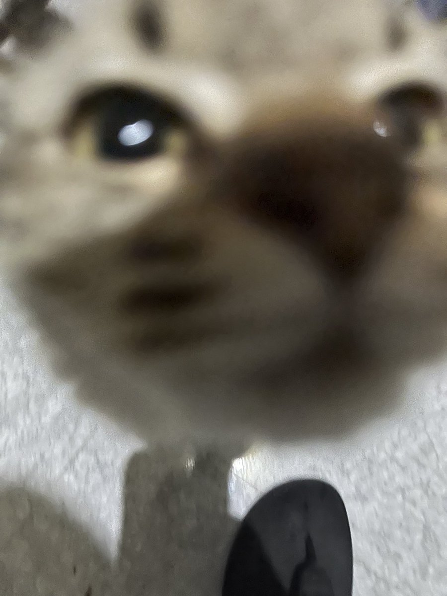 mi miming kiss u