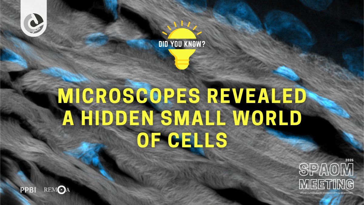 🔬 Did You Know: The invention of the microscope unveiled an entire hidden world—leading to the discovery of cells and transforming biology forever. 🌱

📍 Join us at #SPAOM2025 to find out what today’s imaging tech is revealing

#Microscopy #ScienceFunFact #BioImaging #SPAOM