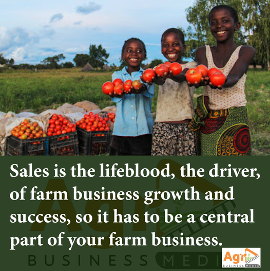 Agribusiness Media (@agribusinesszw) on Twitter photo 