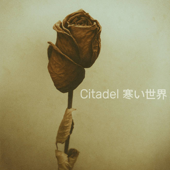 c i t a d e l 寒い世界: Houkai [崩壊], Destruction EP (2025)
citadelmf.bandcamp.com/album/houkai
6 songs 15 min
砂の城が、ひとりでに崩れる…その音を私たちは聞く体験になります
#Vaporwave 🥀🏰⌛ Dark-#Ambient
The castle made of sand collapses on its own… we experience hearing that sound…!
