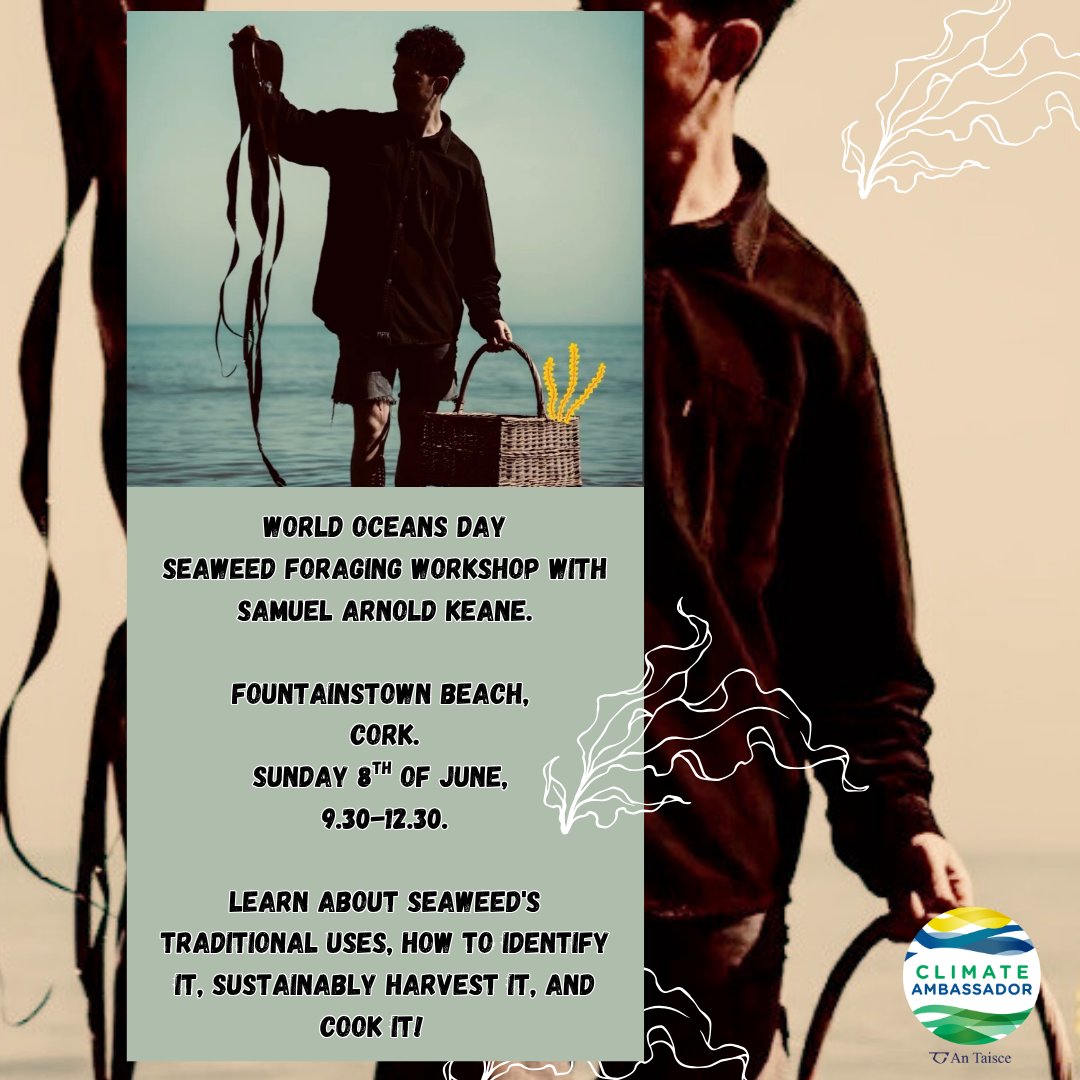#WorldOceansDay is taking place on the 8th of June, and we're marking it in a special way! Come seaweed foraging with us and our guide, Samuel Arnold Keane, on Fountainstown Beach, Cork. Full details &amp; sign up: eventbrite.ie/e/seaweed-fora… #climateaction #cork #foraging #seaweed