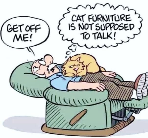Personally iz prefer my new bed, scratching padz, or alongside my momz in da big bed. Ellie likez ta sleep on dadz. #FridayFunnies <a href="/LittleMaineCoon/">Holly Purr⚜️</a> <a href="/JoyOfCats/">The Joy Of Cats 🫶🇨🇦</a> <a href="/GeneralCattis/">"Mad Cat" Cattis</a> <a href="/mitsy2714/">Princess Mitsy</a> <a href="/MaineCoonCatsOH/">Reny, Cat Nip Enthusiast</a> <a href="/JusticeToAll/">JusticeToAll ~ 🙏 🇺🇦 ⚖️ 🚀</a> <a href="/AmandaSmokeyIs1/">🦁Isabella, 🐈‍⬛Tommy & 🐱Alex</a> <a href="/TheCatMalice/">Madcat Malice & Mayhem da Kidd 🩵#ZSHQ</a> <a href="/HugoStevens15/">😺😺🎄🎄⛄️⛄️Hugo Mainecoon 🎄🎄🌦️⛄️⛄️😺😺</a> <a href="/LordGraydon/">Ms. Savoy & Mr. Sanderson @LordGraydon</a>