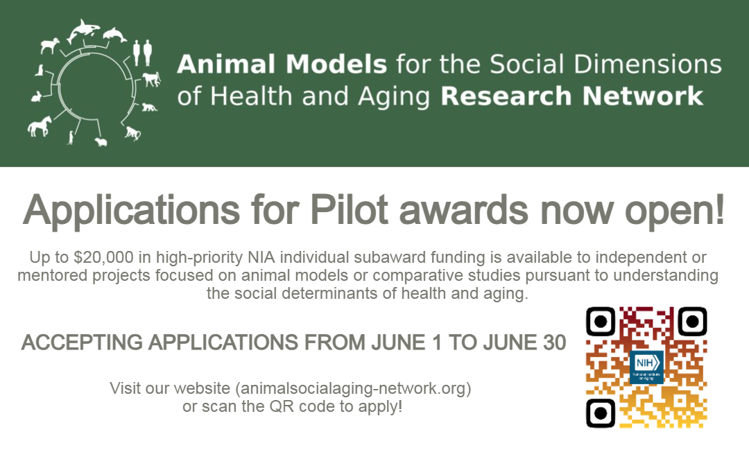 Animal Models of Social Aging Research Network (@animalsocaging) on Twitter photo 📢Applications are OPEN for our Pilot & Feasibility awards!
Individual or mentored projects available with up to $20,000 in total costs! Applications close on June 30. Read the full RFA and apply at the link below!
animalsocialaging-network.org/funding/pilot-…
<a href="/jtung5/">Jenny Tung</a> <a href="/BartolomucciLab/">Alessandro Bartolomucci Lab</a> <a href="/SMack_Lab/">Noah Snyder-Mackler</a> 📢Applications are OPEN for our Pilot & Feasibility awards!
Individual or mentored projects available with up to $20,000 in total costs! Applications close on June 30. Read the full RFA and apply at the link below!
animalsocialaging-network.org/funding/pilot-…
<a href="/jtung5/">Jenny Tung</a> <a href="/BartolomucciLab/">Alessandro Bartolomucci Lab</a> <a href="/SMack_Lab/">Noah Snyder-Mackler</a>