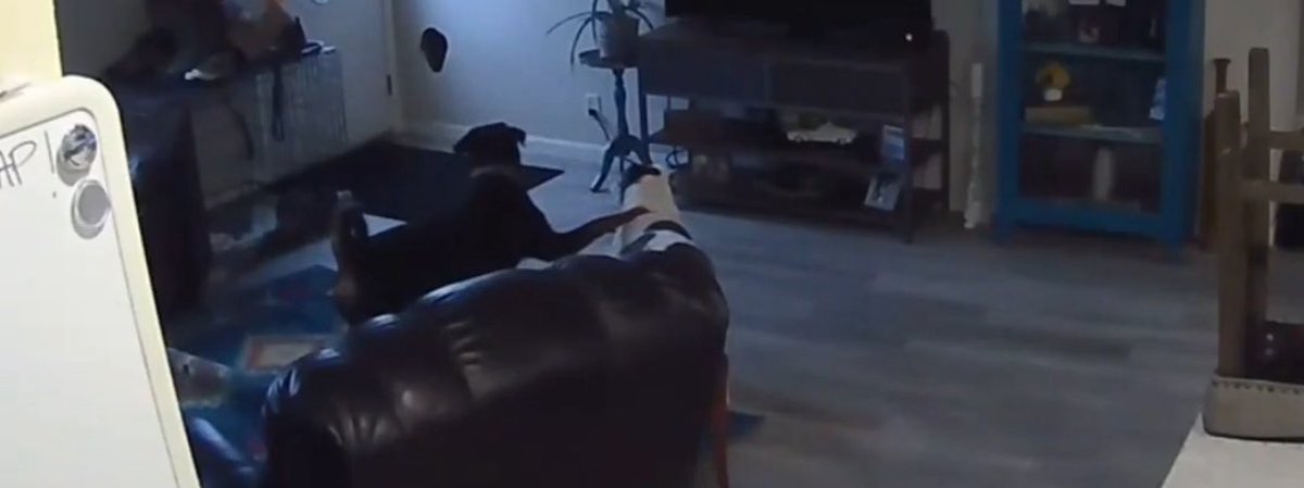 <a href="/MelechThomas/">Melech.</a> hands on his shoulder he knew it was over 😂