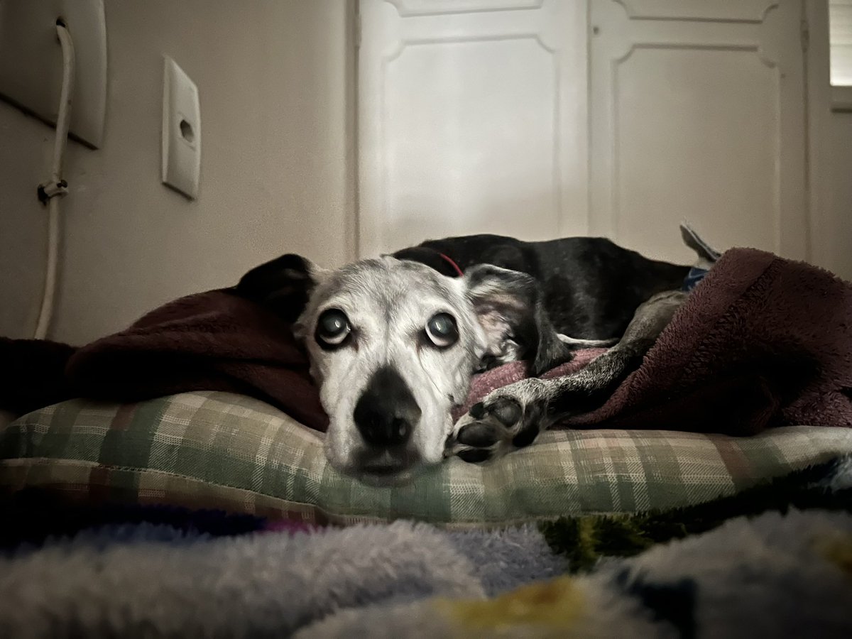 Robert Karp tweet media