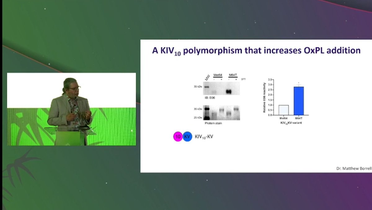 Rafael Zubirán (@rzubirans) on Twitter photo What a master class in Apo(a) by <a href="/MBBoffa/">Michael Boffa</a>!
It's so hard to summarize in a tweet
Really interesting data showing how specific mutations on His33 play a major role in OxPL.
<a href="/nationallipid/">National Lipid Association</a> #NLASessions What a master class in Apo(a) by <a href="/MBBoffa/">Michael Boffa</a>!
It's so hard to summarize in a tweet
Really interesting data showing how specific mutations on His33 play a major role in OxPL.
<a href="/nationallipid/">National Lipid Association</a> #NLASessions