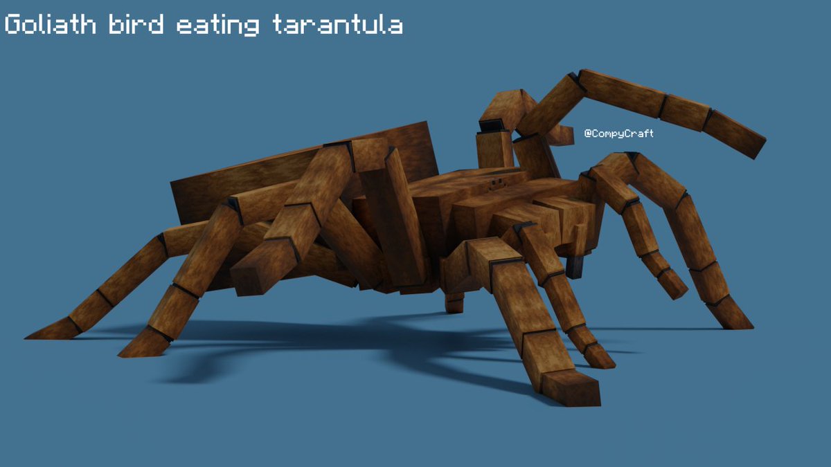 Mr.dino 🇵🇸🇱🇧 (@mr_dino_fan) on Twitter photo 🚨**ARACHNOPHOBIA WARNING**🚨
giggty
Goliath bird eating tarantula!
it was done with the combined efforts of me and <a href="/AllosaurusBr/">Allo_SUS 🦕🚀(commission open)</a>
#minecraft #blockbench #spider #arachnophobia 🚨**ARACHNOPHOBIA WARNING**🚨
giggty
Goliath bird eating tarantula!
it was done with the combined efforts of me and <a href="/AllosaurusBr/">Allo_SUS 🦕🚀(commission open)</a>
#minecraft #blockbench #spider #arachnophobia