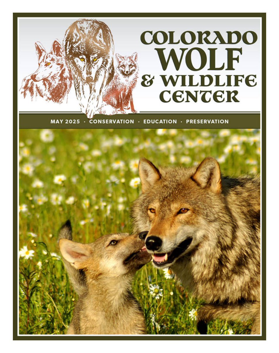 SamanthasLaw's tweet image. wolfeducation.org  ￼

#CWWC