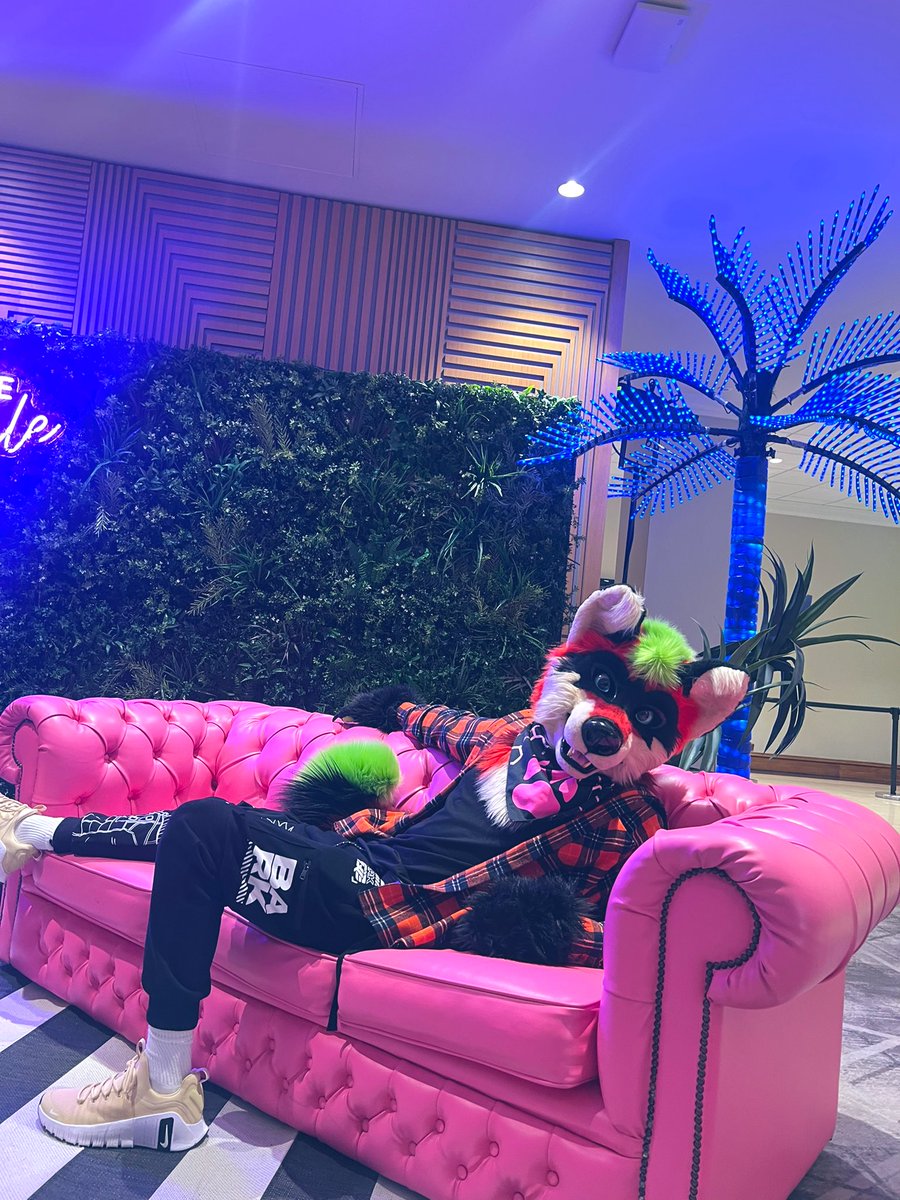 Whatcha doin this #FursuitFriday?
(photo taken at #cfz2025)