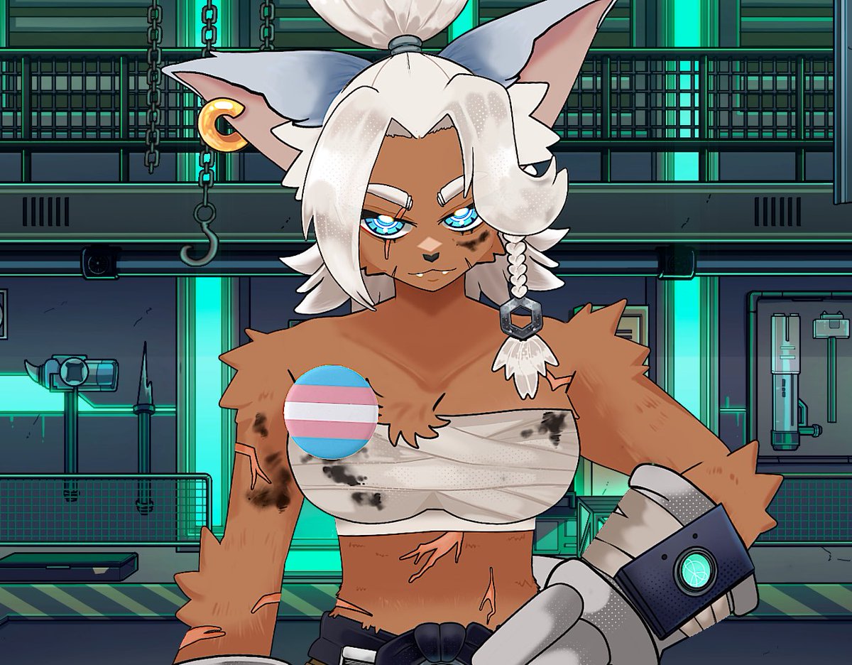 *taps microphone*

&gt; Being trans is NOT a mental disorder 
&gt; Supporting trans people and trans youth is NOT grooming
&gt; Gender affirming care DOES NOT EQUAL Frankenstein body mutilation
&gt; Being trans is not the same as being a tomboy or admiring people of opposite gender

If you