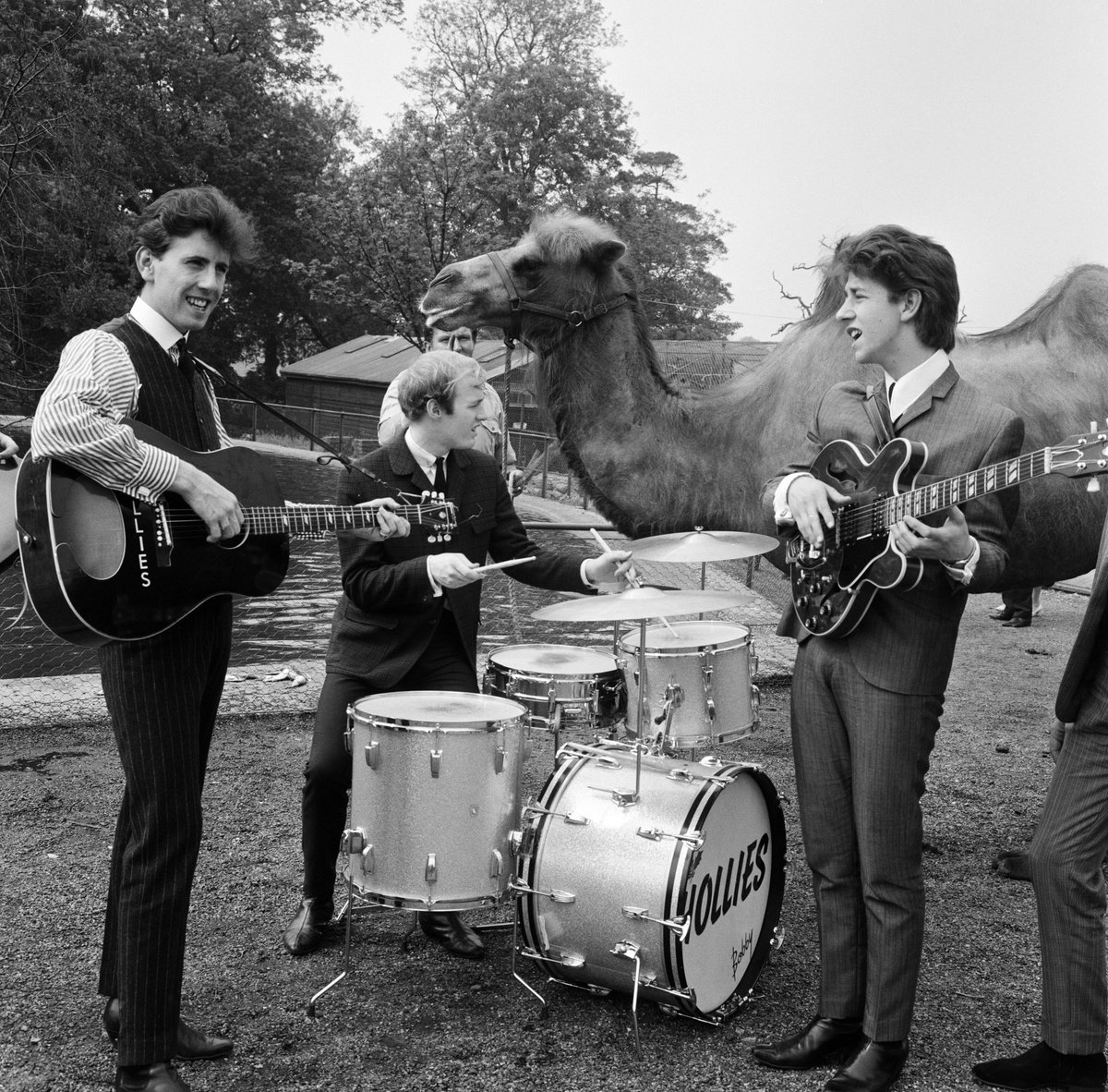 May 1964: The Hollies performing at Chessington Zoo! Rumour has it that camel almost became the 6th band member...

Photo courtesy of Getty Images