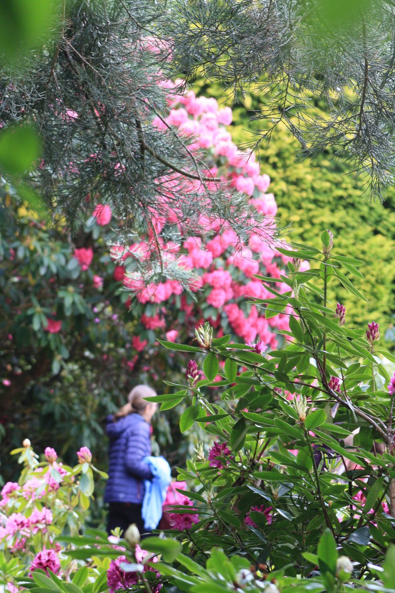 Ushaw Historic House, Chapels & Gardens (@ushawdurham) on Twitter photo The bloom season is in full flow and weโre totally obsessed ๐คฉ
๐ Ushaw, Durham | DH7 7DW
#Ushawesome #DaysOutInDurham #Gardens <a href="/ThisisDurham/">This is Durham</a> The bloom season is in full flow and weโre totally obsessed ๐คฉ
๐ Ushaw, Durham | DH7 7DW
#Ushawesome #DaysOutInDurham #Gardens <a href="/ThisisDurham/">This is Durham</a>