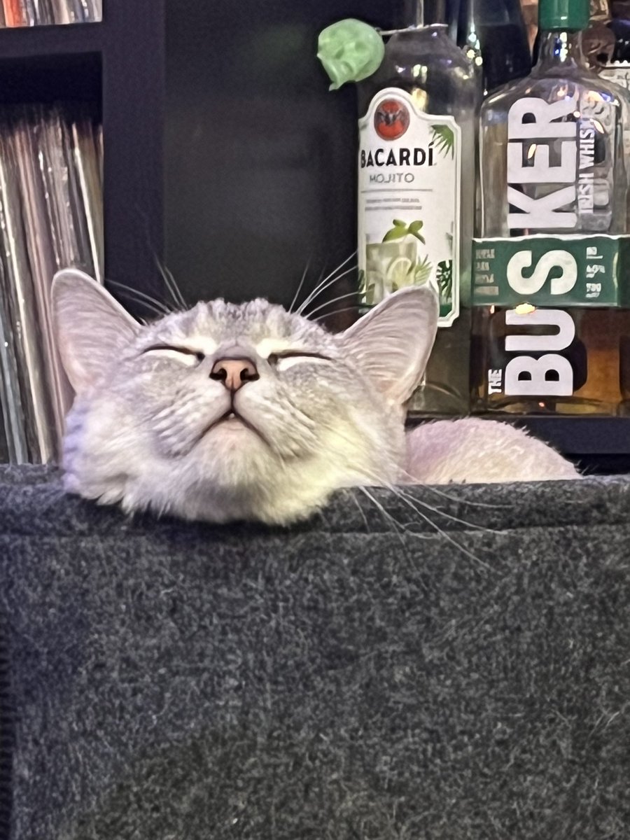 Yuu_DRstaff's tweet photo. Chill mode
https://t.co/97EPSxBcNt https://t.co/VIQRre8YFo