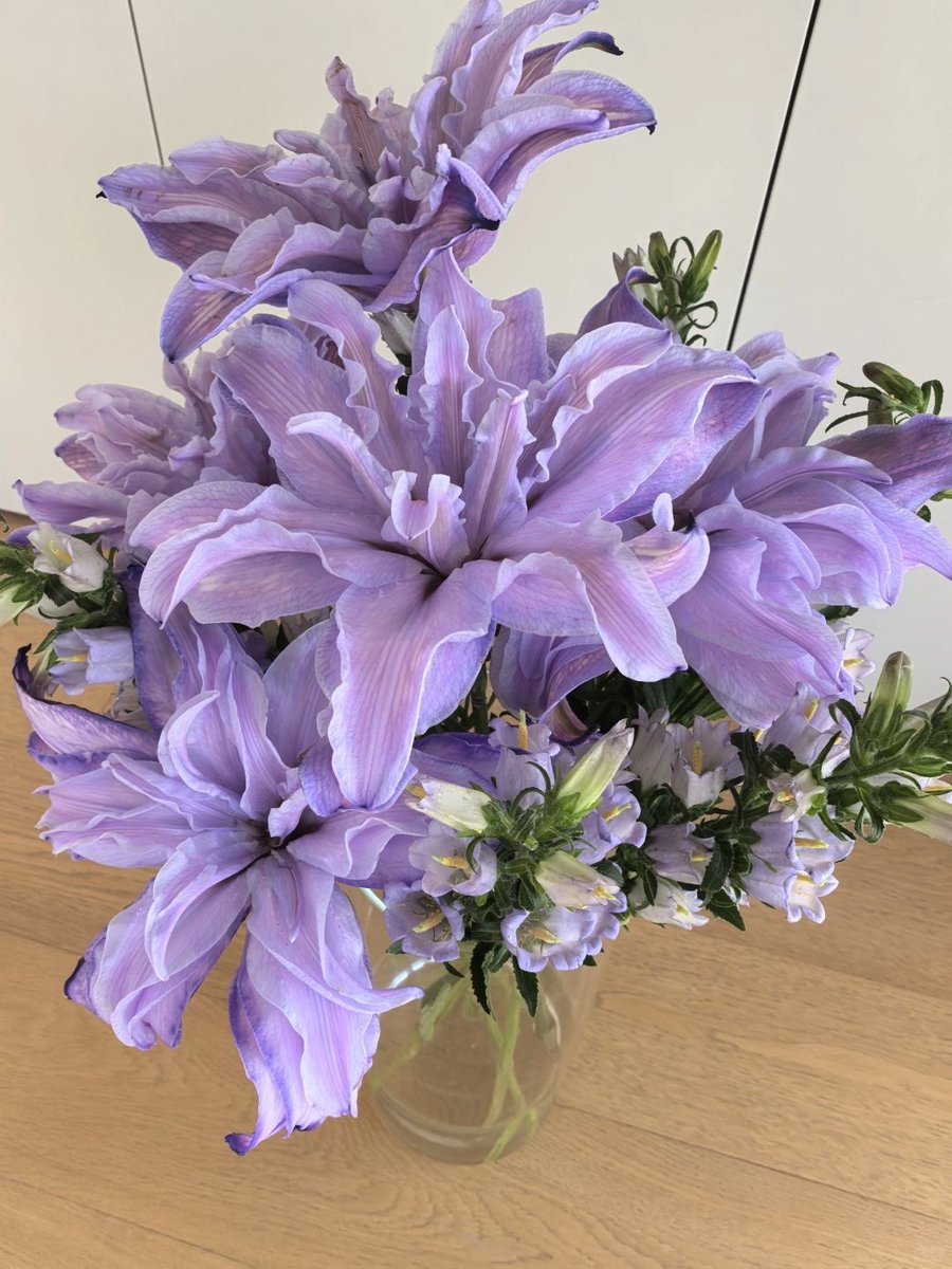 Lily ✮⋆˙ tweet media