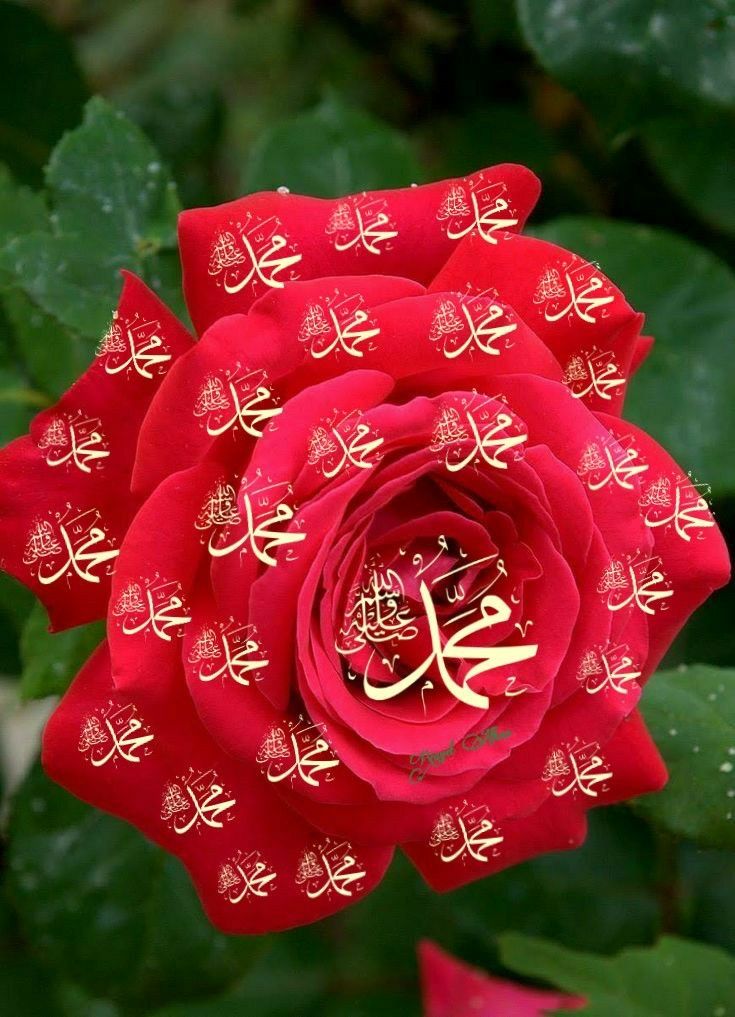YASEEN (@y22ny) on Twitter photo #P_PTi ð
°ïž 03
<a href="/NM1k_/">àŒº ððµð¬ð¬ðµðšð¯ð àŒ»</a> <a href="/MNPTi1/">ð.ðððâââðð²ð«ð°ðŠð£ðïžââ Ø§ØšÙسÙÙ
ââð¶</a>
<a href="/Sprxzy2/">Umar PTI</a> <a href="/Dni_40/">Daniyal</a>
<a href="/IAIJ1_/">Javed Iqbal</a>
<a href="/NM2k__/">ıllıllı ðž NÍEÍEÍNÍAÍHÍ ðž ıllıllı</a>
<a href="/ik_553/">.â â â â âðãã¹ã«ã³ ðð®ð¬ð€ðð§ð. â â â â â âð</a>
<a href="/4mir_8/">Aamir Hayat Awan</a>
<a href="/B_Ali11/">â¯ððð ðððð ðððððð¢ðâ¯ðµð°ðºðž âïžðŠ</a>
<a href="/Y22NY/">YASEEN</a>
<a href="/ARI2_1/">Ariana</a>
<a href="/nbea_h/">#ðŸððððð±ðððððð #ð¿ððð±ðððððð</a>
<a href="/av_804/">DigitaL AaTanG VaDi 804</a>
<a href="/shz787/">ðâïžððsÊáŽÊᎢáŽáŽ
áŽáŽÉŽÉªÊðâïžðâïž</a>
<a href="/ver_G10/">usMan Gâïž</a>
<a href="/Aa_ban1/">âïž» #TmGriffinsðŠ
ïž»â</a>
<a href="/sam_5as/">Aslam Sameer</a>
<a href="/r7731467/">Russell âïžÙØŽÙØ· ðŸðª</a>
<a href="/OdriSeva/">Odri Seva</a>
<a href="/zimal293/">ðŠðáŽsÊɪáŽ
áŽÊðŠ</a>
<a href="/PTi___786/">Nosheen Aurangzaib</a>
<a href="/zubm9231/">ZUBAIR Muhammad</a>
<a href="/SKPTI804/">ê±áŽÊáŽáŽÉŽ áŽáŽáŽÊáŽÉŽ áµáµáµáµË¢áµáµ</a>
<a href="/CarloSportfan/">SportISmyLIFE âœâŸððððŸð³ððâ³</a>
<a href="/yasirkhan7845/">Yasir Khan</a>
<a href="/KamranA17555180/">ISF Sindh Official ð§ð«</a>
<a href="/As_t40/">ð ðððððð«</a> <a href="/00munsif/">#ð_ððð¢ ð ðð®ð§ð¬ð¢ð ðð¥ð¢</a> #P_PTi ð
°ïž 03
<a href="/NM1k_/">àŒº ððµð¬ð¬ðµðšð¯ð àŒ»</a> <a href="/MNPTi1/">ð.ðððâââðð²ð«ð°ðŠð£ðïžââ Ø§ØšÙسÙÙ
ââð¶</a>
<a href="/Sprxzy2/">Umar PTI</a> <a href="/Dni_40/">Daniyal</a>
<a href="/IAIJ1_/">Javed Iqbal</a>
<a href="/NM2k__/">ıllıllı ðž NÍEÍEÍNÍAÍHÍ ðž ıllıllı</a>
<a href="/ik_553/">.â â â â âðãã¹ã«ã³ ðð®ð¬ð€ðð§ð. â â â â â âð</a>
<a href="/4mir_8/">Aamir Hayat Awan</a>
<a href="/B_Ali11/">â¯ððð ðððð ðððððð¢ðâ¯ðµð°ðºðž âïžðŠ</a>
<a href="/Y22NY/">YASEEN</a>
<a href="/ARI2_1/">Ariana</a>
<a href="/nbea_h/">#ðŸððððð±ðððððð #ð¿ððð±ðððððð</a>
<a href="/av_804/">DigitaL AaTanG VaDi 804</a>
<a href="/shz787/">ðâïžððsÊáŽÊᎢáŽáŽ
áŽáŽÉŽÉªÊðâïžðâïž</a>
<a href="/ver_G10/">usMan Gâïž</a>
<a href="/Aa_ban1/">âïž» #TmGriffinsðŠ
ïž»â</a>
<a href="/sam_5as/">Aslam Sameer</a>
<a href="/r7731467/">Russell âïžÙØŽÙØ· ðŸðª</a>
<a href="/OdriSeva/">Odri Seva</a>
<a href="/zimal293/">ðŠðáŽsÊɪáŽ
áŽÊðŠ</a>
<a href="/PTi___786/">Nosheen Aurangzaib</a>
<a href="/zubm9231/">ZUBAIR Muhammad</a>
<a href="/SKPTI804/">ê±áŽÊáŽáŽÉŽ áŽáŽáŽÊáŽÉŽ áµáµáµáµË¢áµáµ</a>
<a href="/CarloSportfan/">SportISmyLIFE âœâŸððððŸð³ððâ³</a>
<a href="/yasirkhan7845/">Yasir Khan</a>
<a href="/KamranA17555180/">ISF Sindh Official ð§ð«</a>
<a href="/As_t40/">ð ðððððð«</a> <a href="/00munsif/">#ð_ððð¢ ð ðð®ð§ð¬ð¢ð ðð¥ð¢</a>